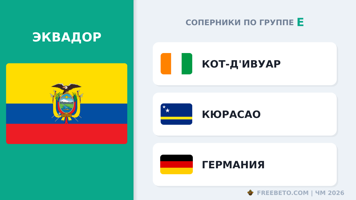 С кем встретится Сборная Эквадора в группе E Эквадор соперники по группе E
